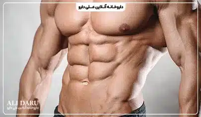 سیکس پک چیست